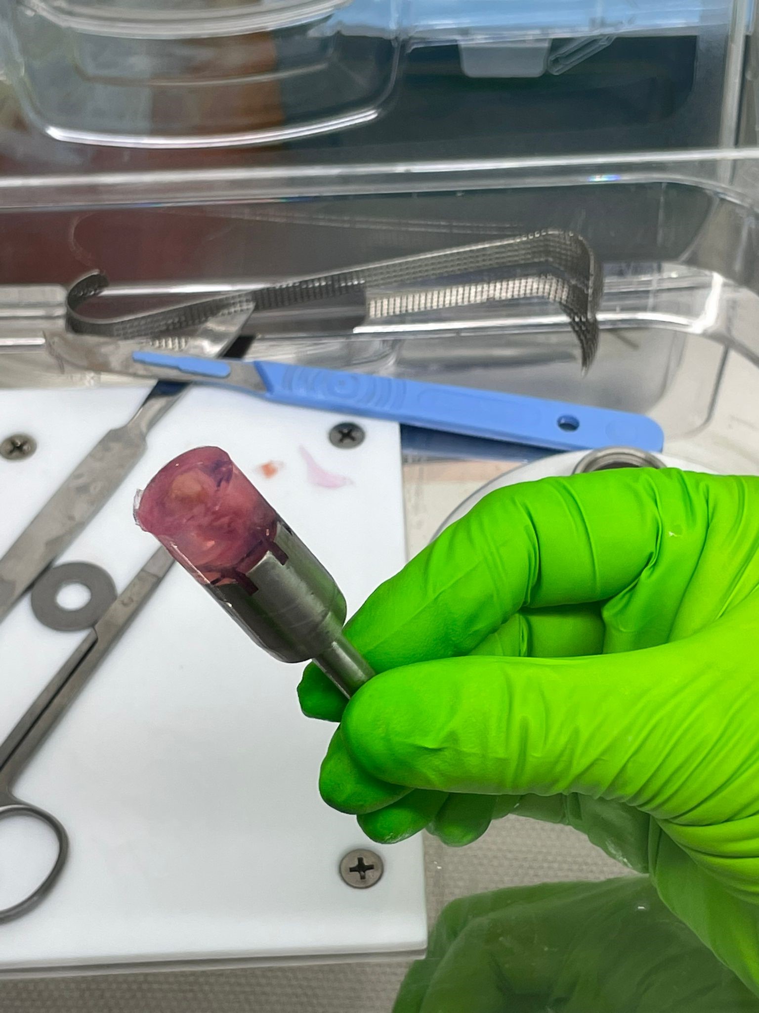 Precision Cut Tissue Slices